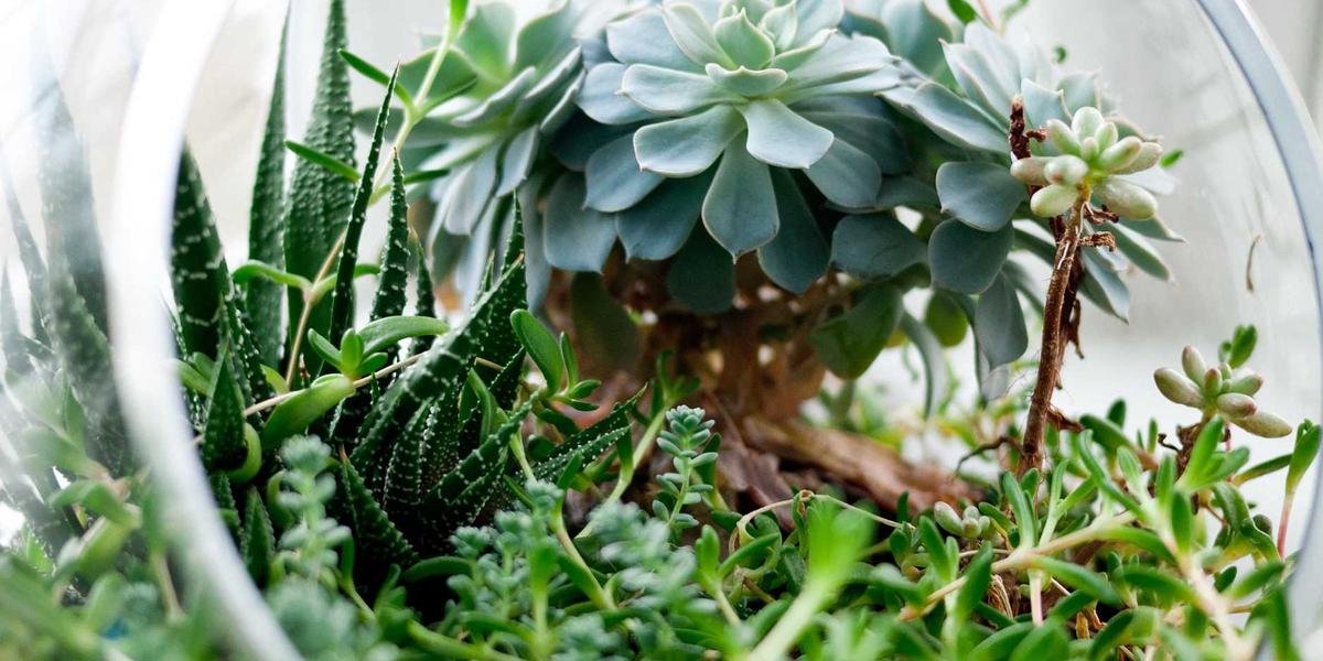 Why You Should Read Global News