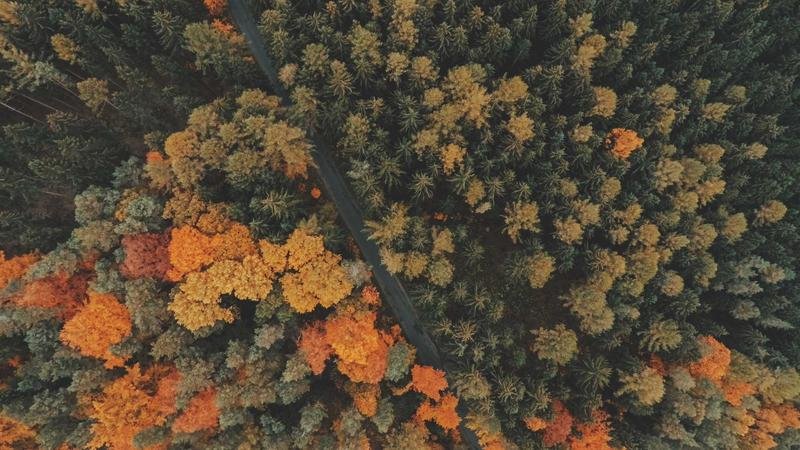 Card game tournament